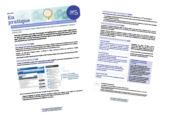 Modèles fiches accompagnement EPRD_ESMS