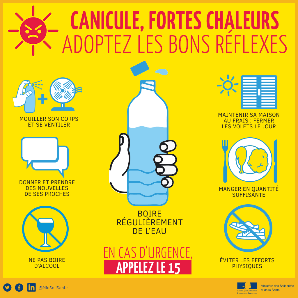 reflexes Canicule