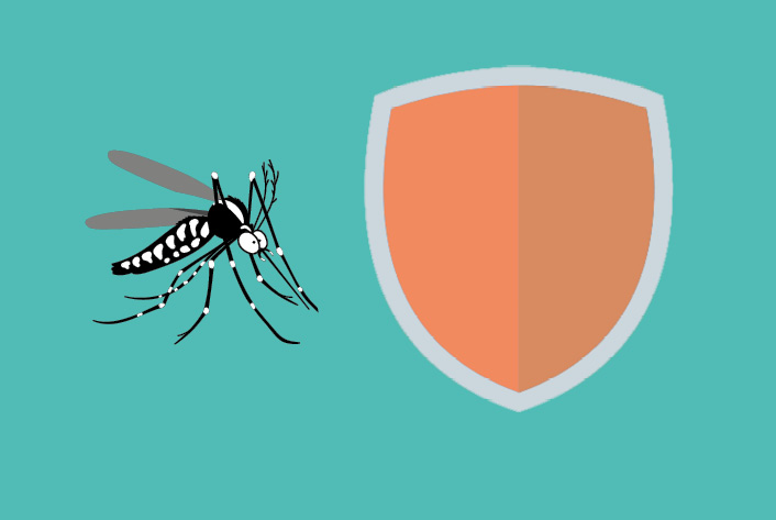 Traitement anti-moustiques : Quelle méthode professionnelle choisir ?