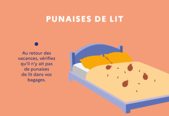 Comment enlever les punaises de lit avec un nettoyeur vapeur - fr