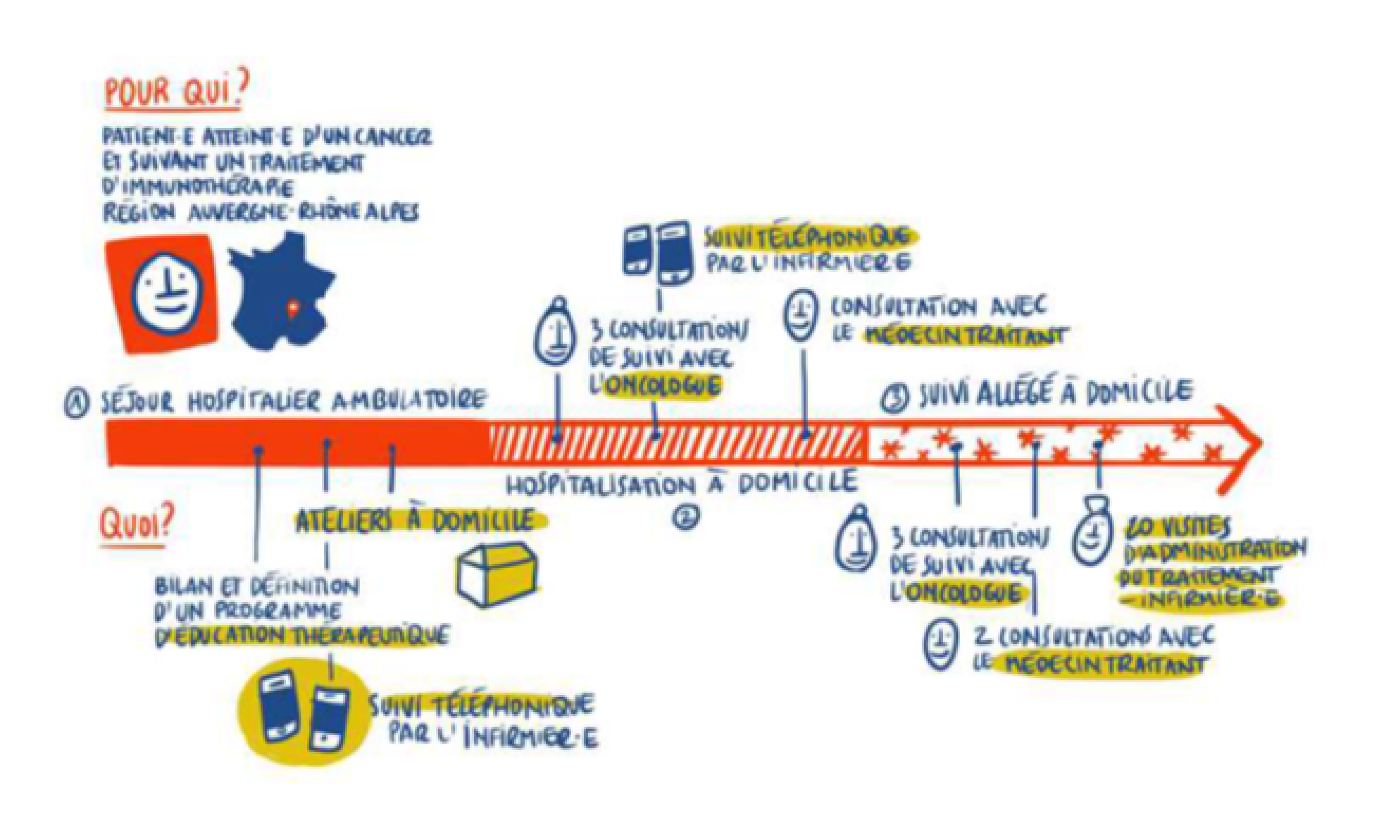 Schéma du parcours expérimental pour les traitements d'immunothérapie (voir description détaillée ci-après)