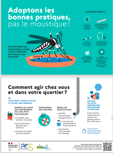 Moustique tigre : une responsabilité collective - Chambray-lès-Tours