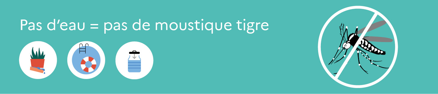 Pas d'eau = pas de moustique tigre