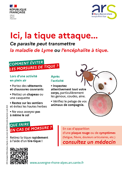 Tiques : de nombreux cas d'encéphalite à tique en Auvergne-Rhône ...