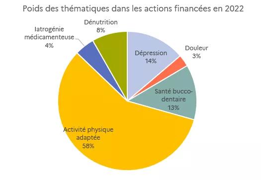 Graphique - Poids des thématiques dans les actions financées en 2022 - voir description détaillée ci-dessous