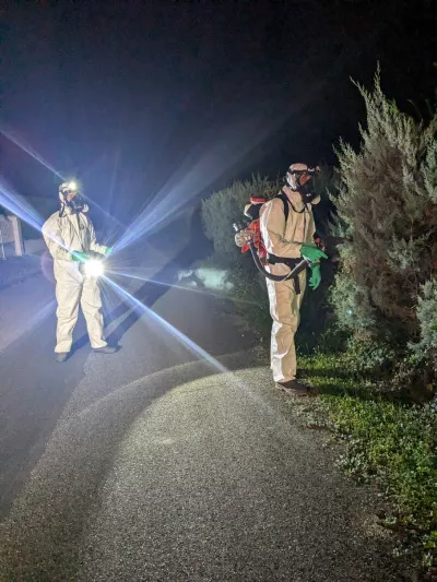 Agents en train d'appliquer un traitement contre les moustiques tigres à pied