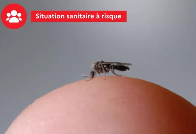 Situation sanitaire à risque