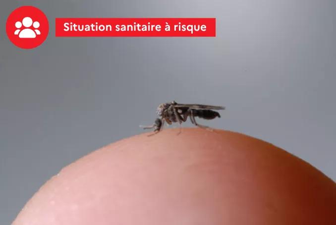 Situation sanitaire à risque