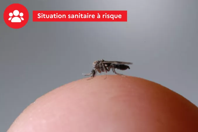Situation sanitaire à risque